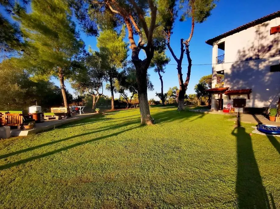 Golden Summer Apartment location